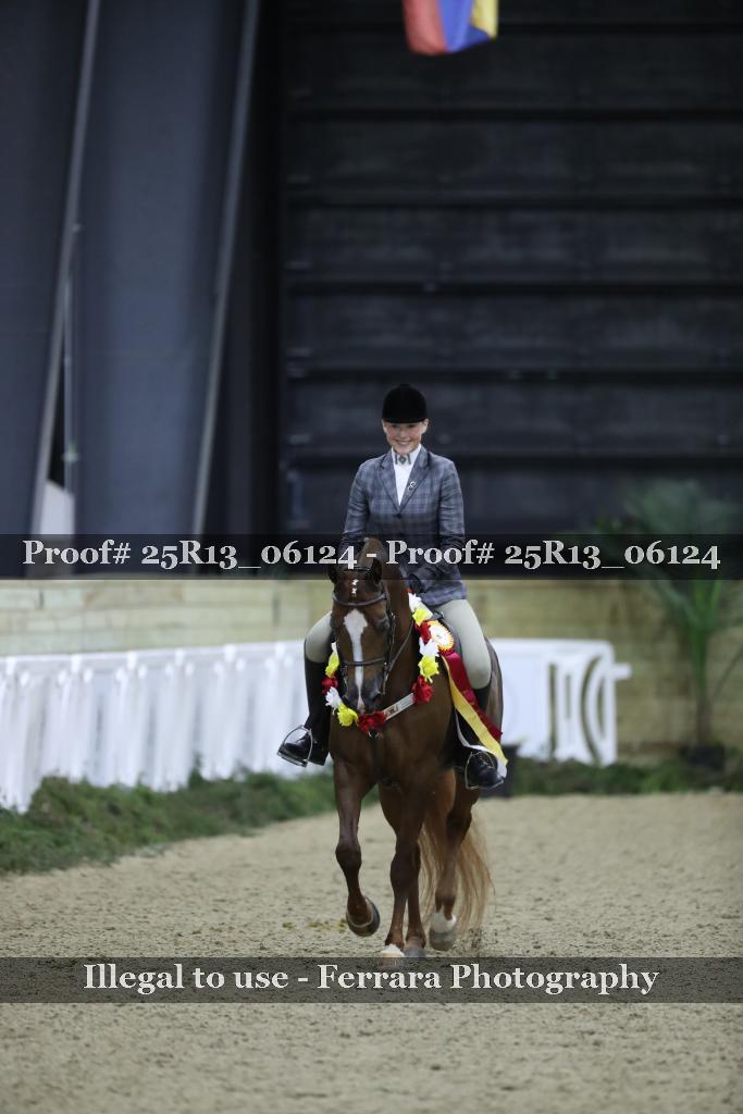 Proof 25R13_06124