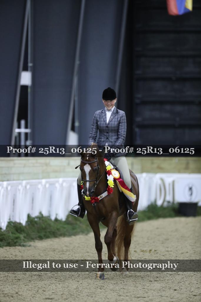 Proof 25R13_06125