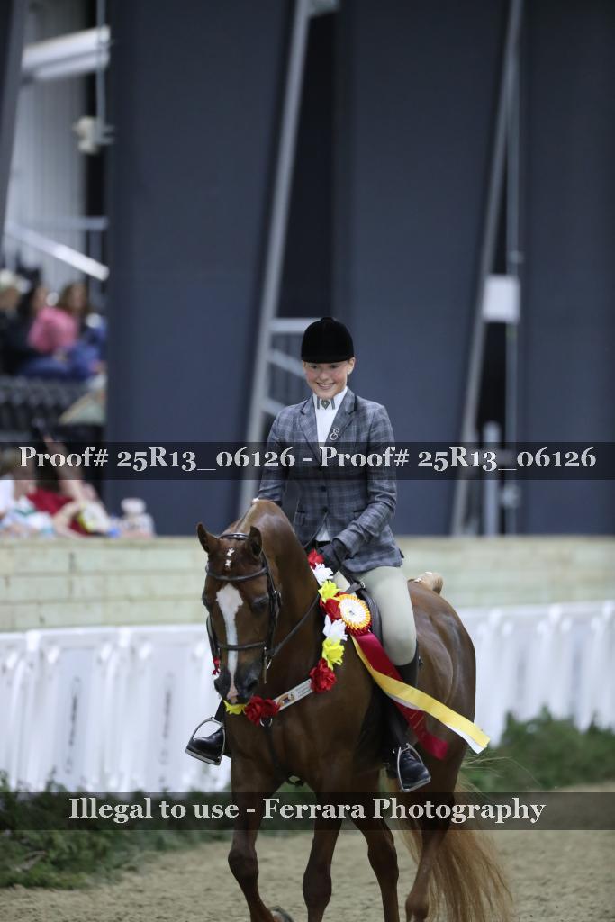 Proof 25R13_06126