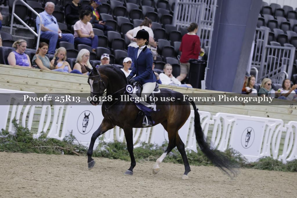 Proof 25R13_06128