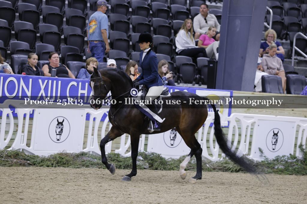 Proof 25R13_06130