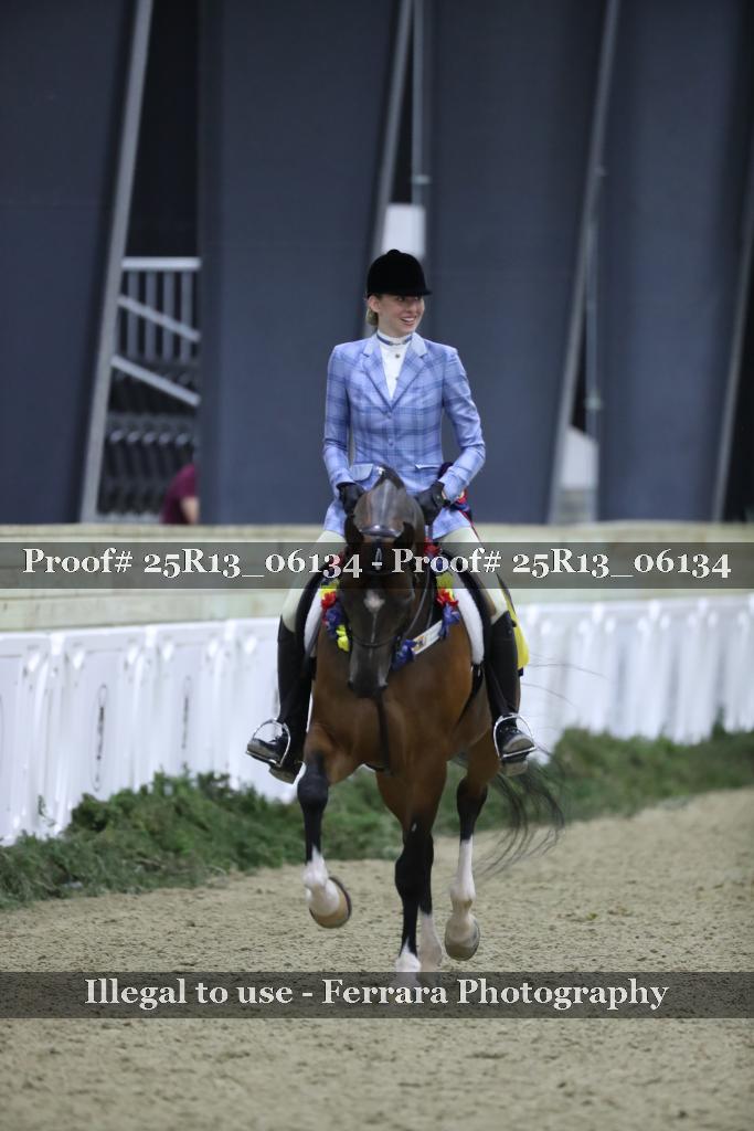 Proof 25R13_06134