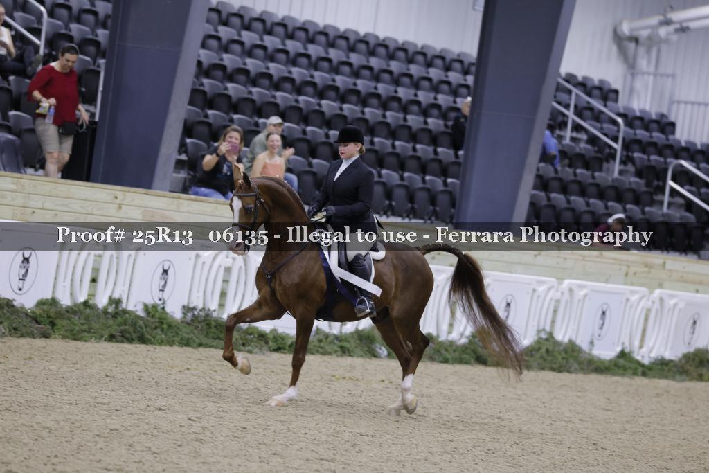 Proof 25R13_06135