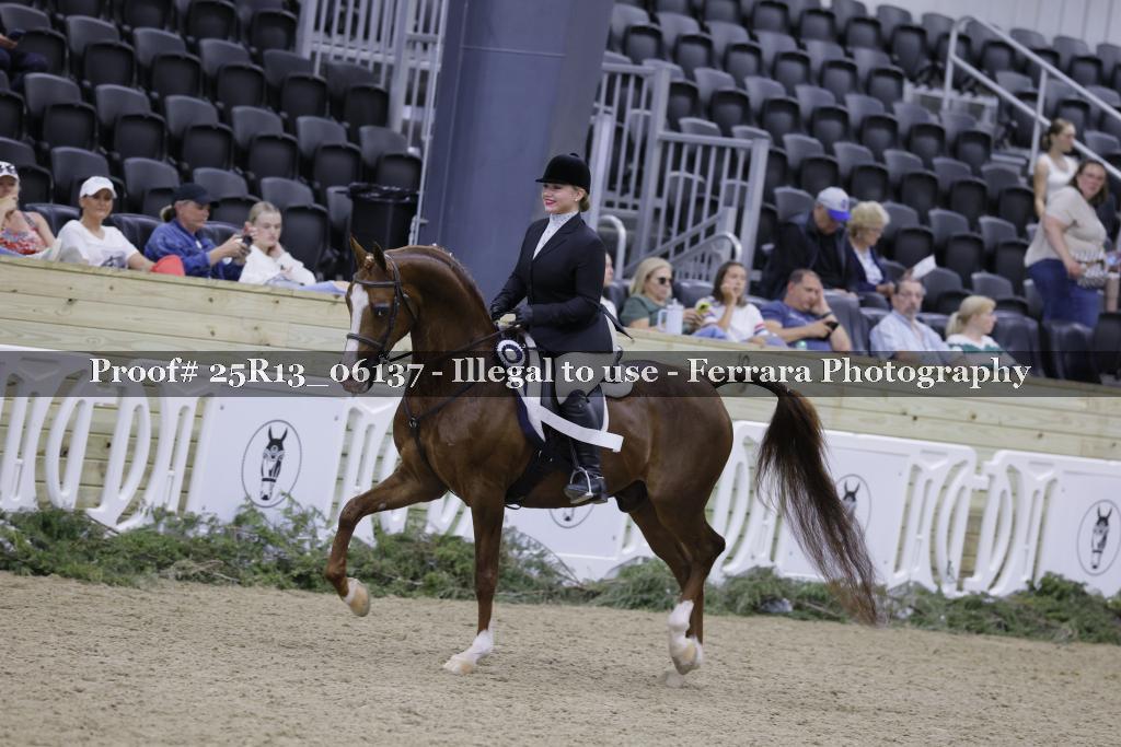 Proof 25R13_06137