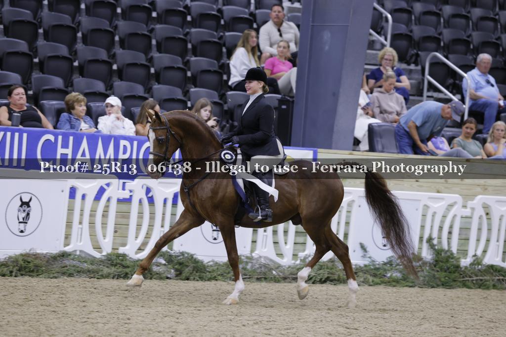 Proof 25R13_06138
