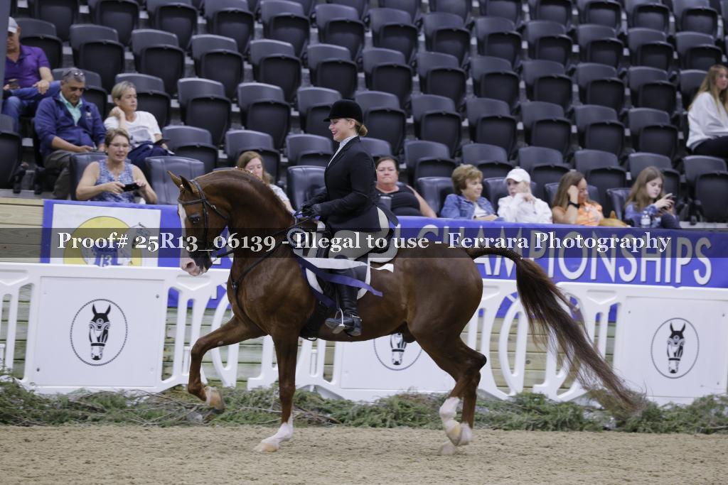 Proof 25R13_06139