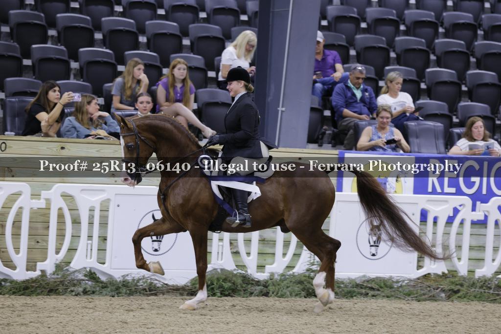 Proof 25R13_06140