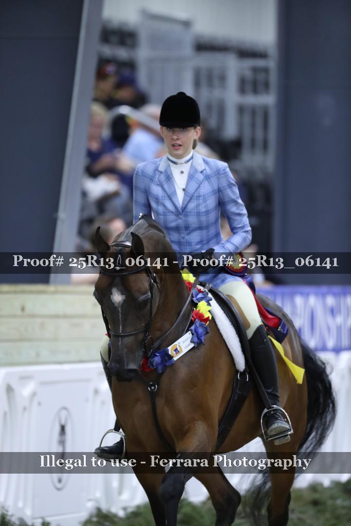 Proof 25R13_06141