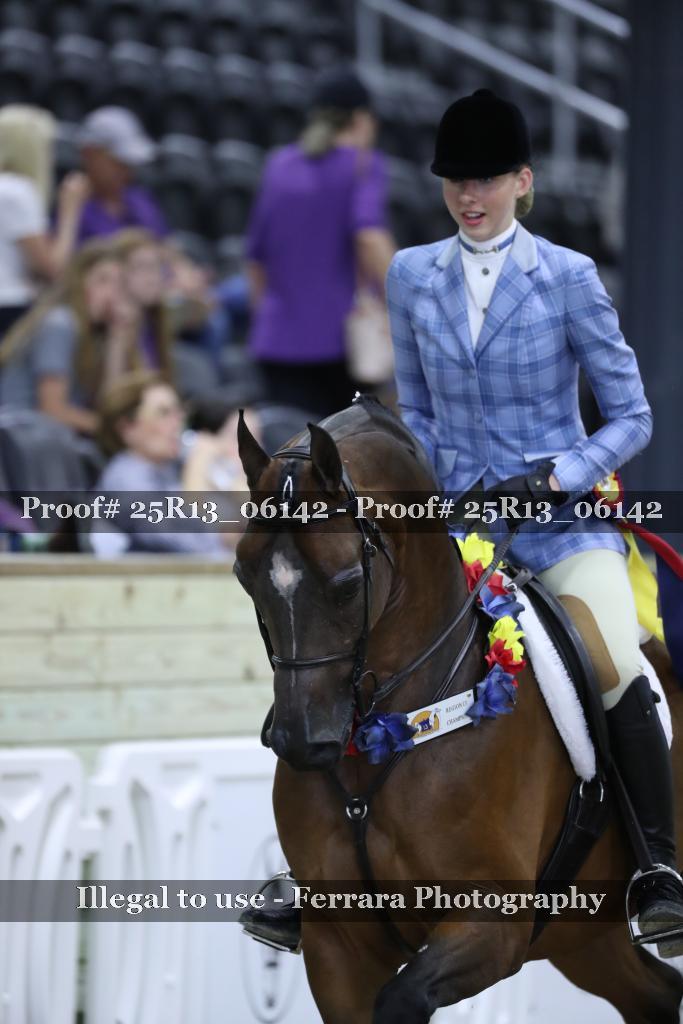Proof 25R13_06142