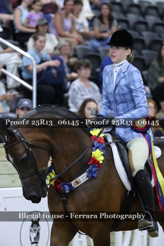Proof 25R13_06145