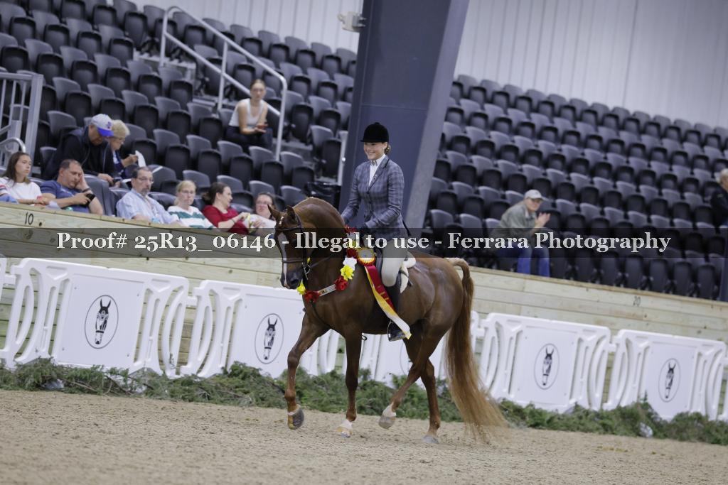 Proof 25R13_06146
