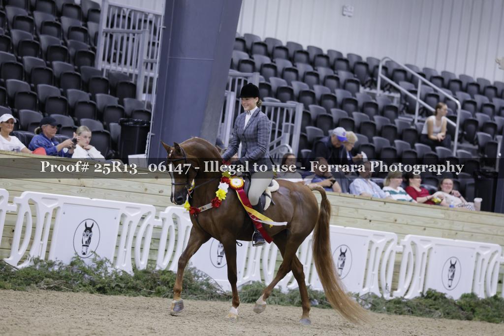 Proof 25R13_06147