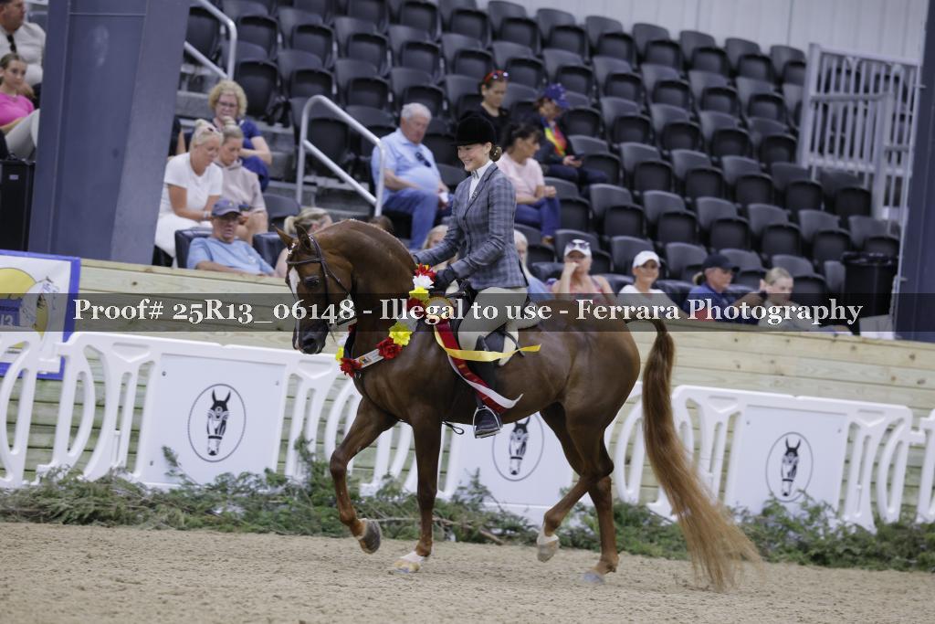 Proof 25R13_06148