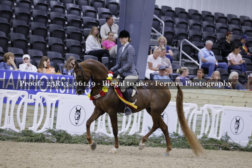 Proof 25R13_06149