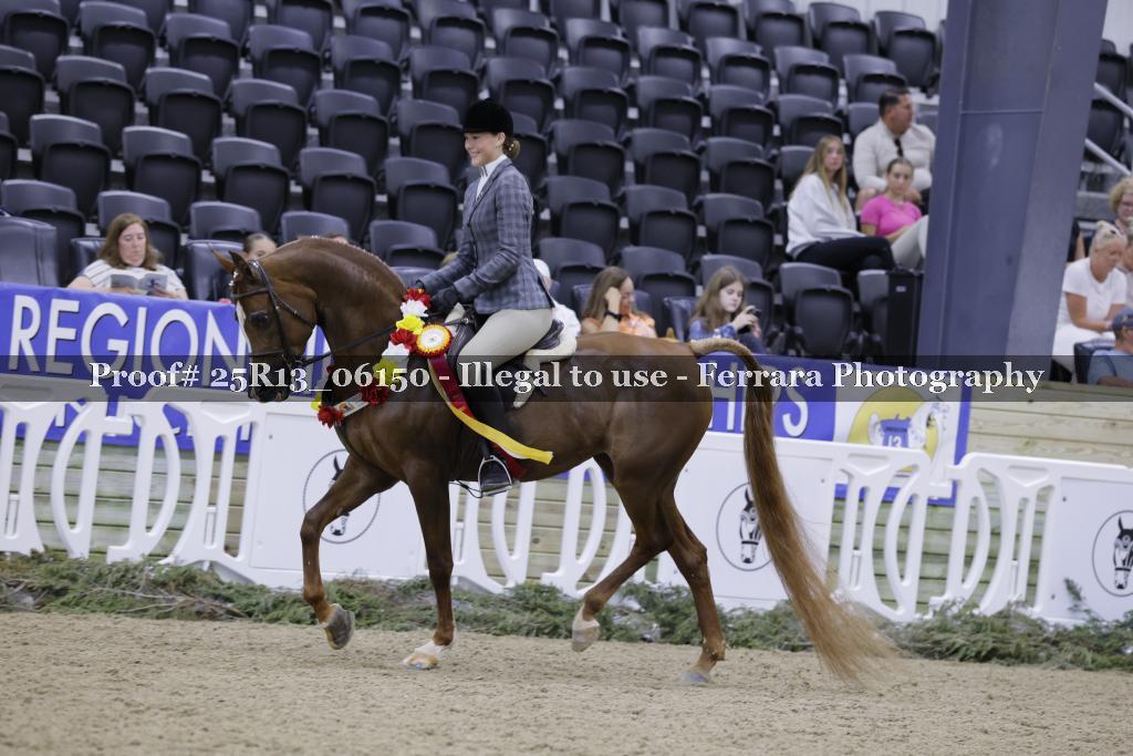 Proof 25R13_06150