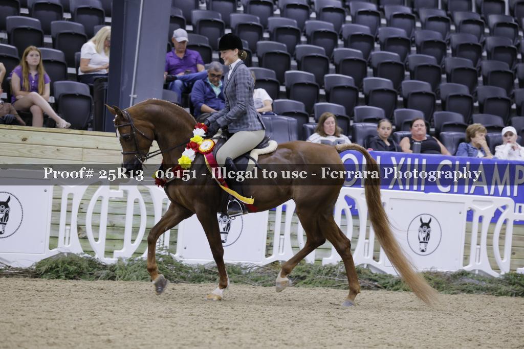 Proof 25R13_06151