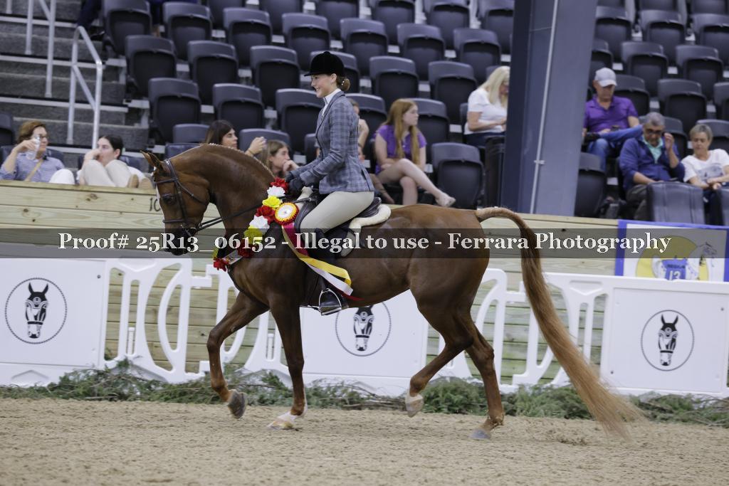 Proof 25R13_06152