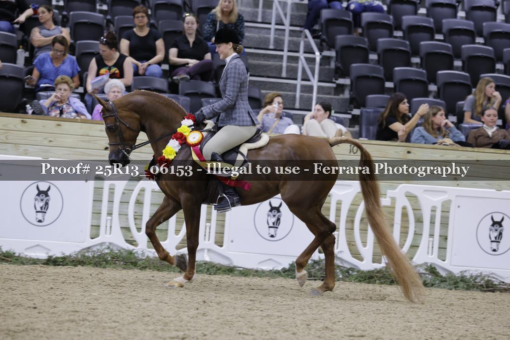 Proof 25R13_06153
