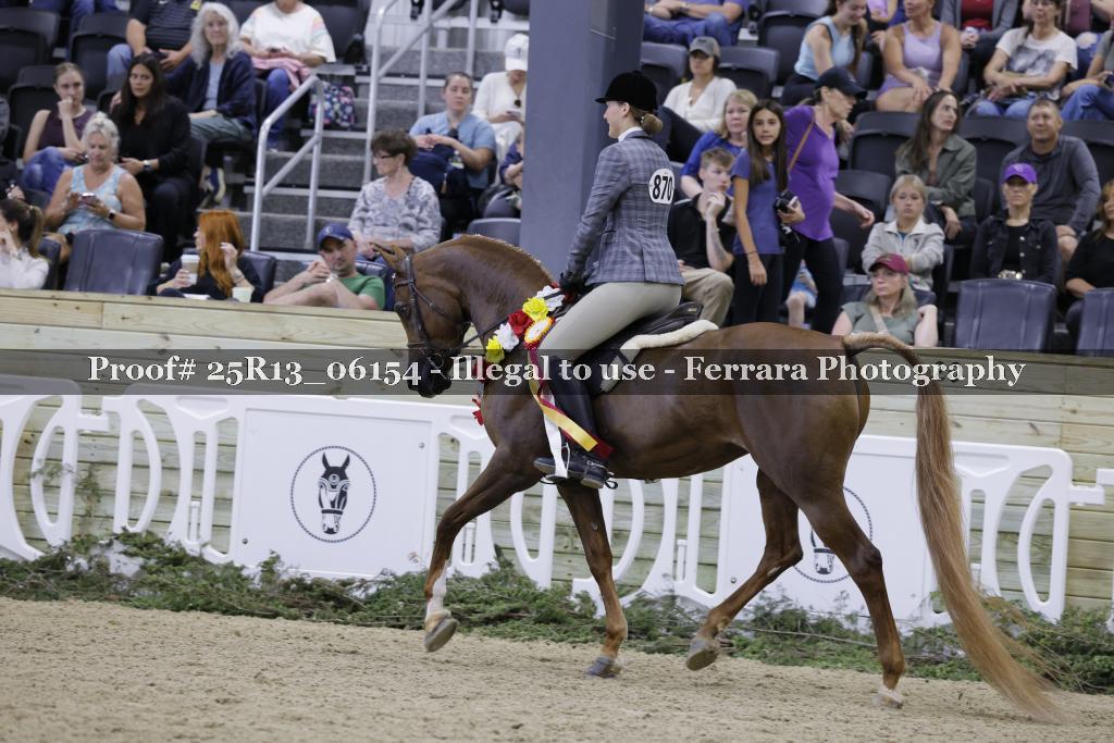 Proof 25R13_06154