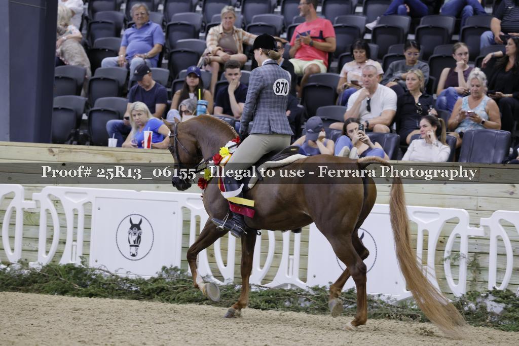 Proof 25R13_06155
