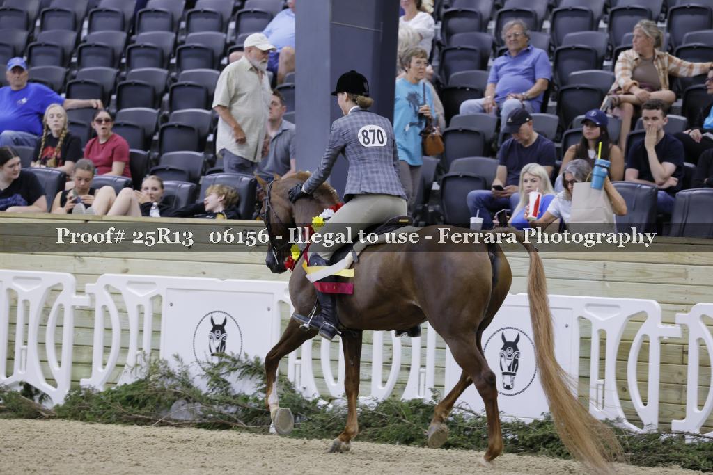 Proof 25R13_06156
