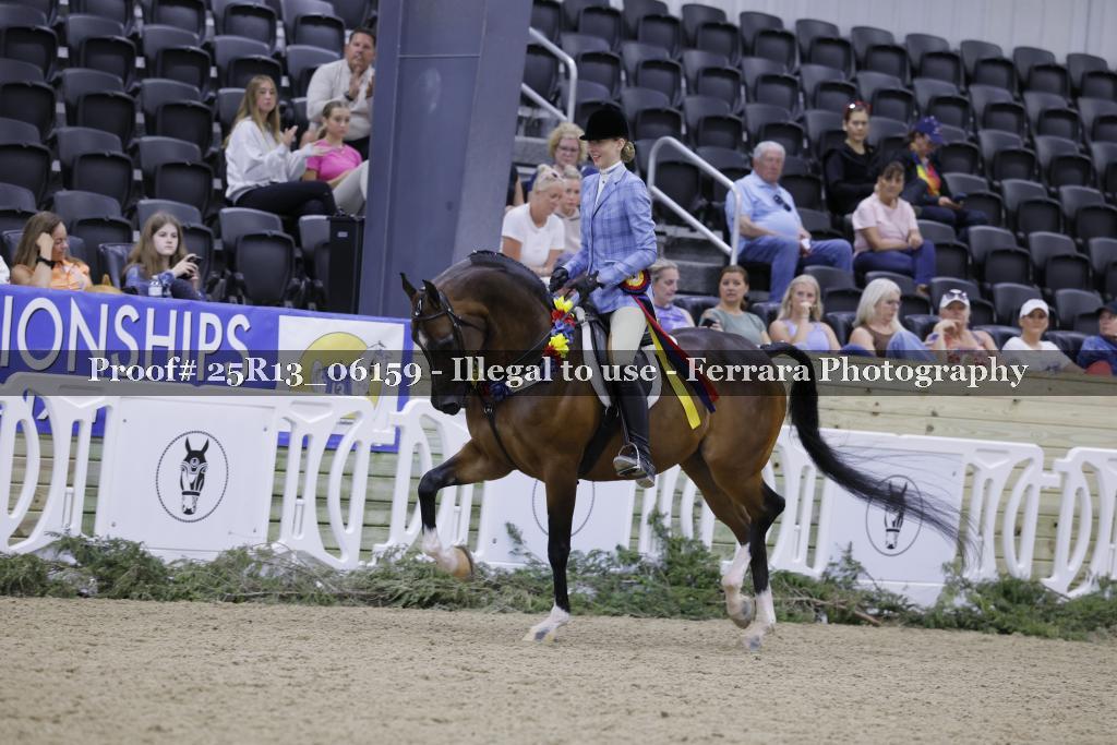 Proof 25R13_06159