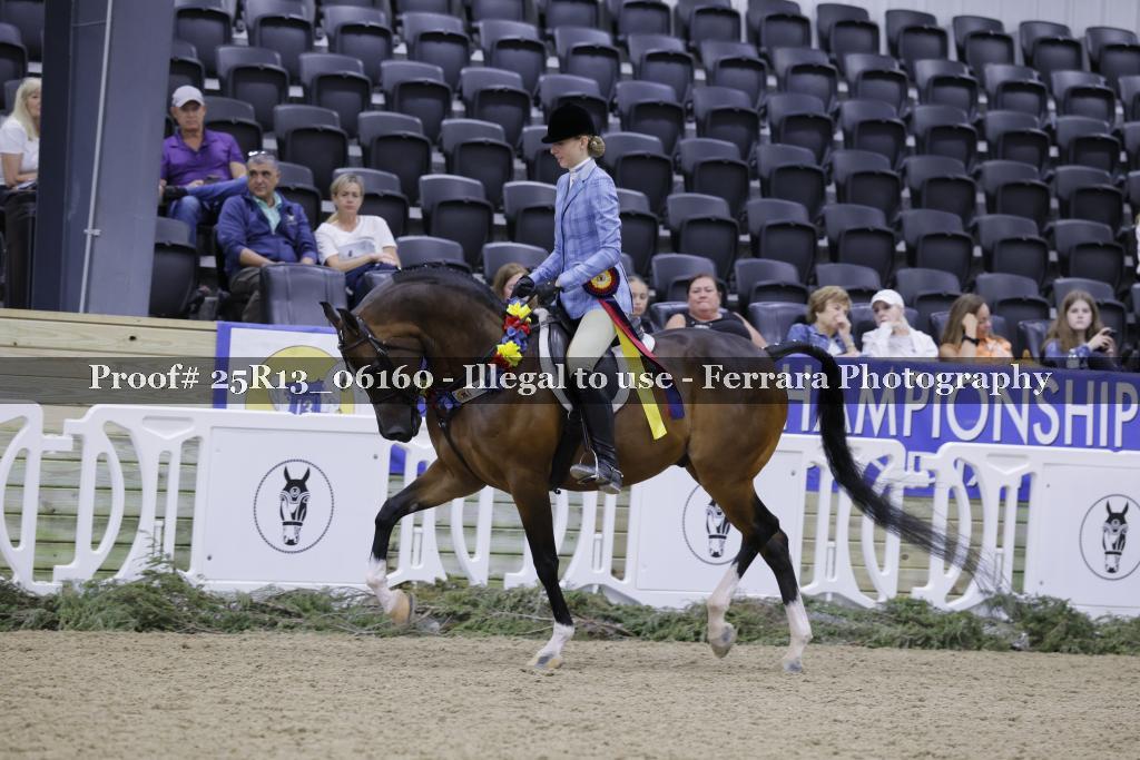 Proof 25R13_06160