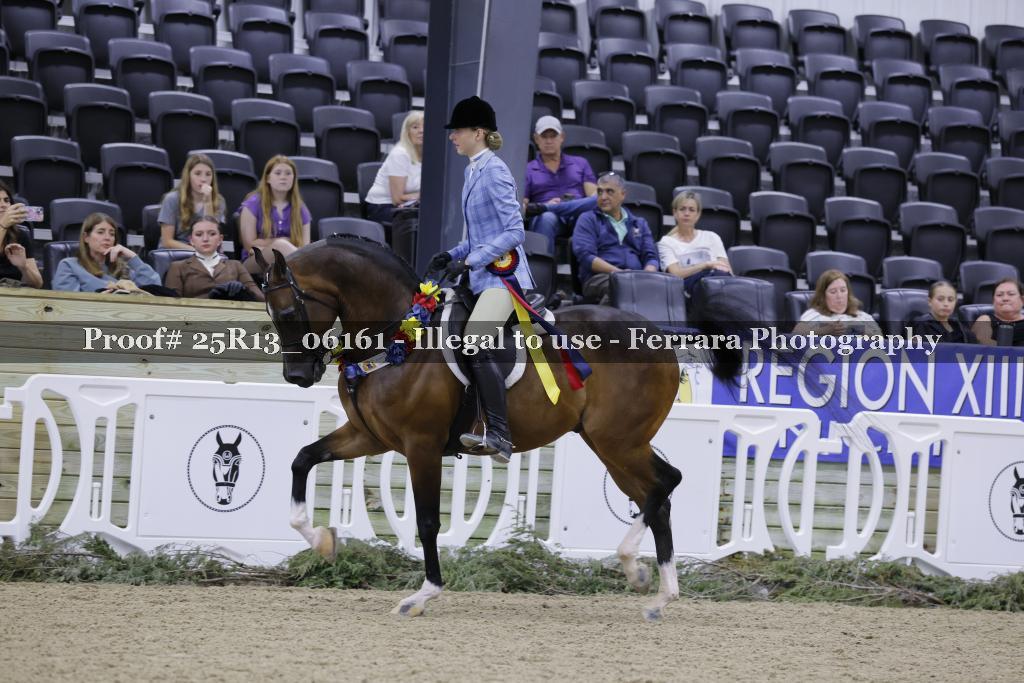 Proof 25R13_06161