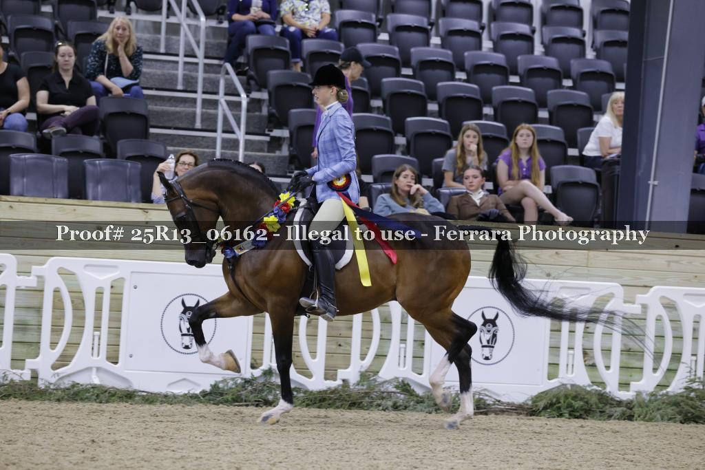 Proof 25R13_06162