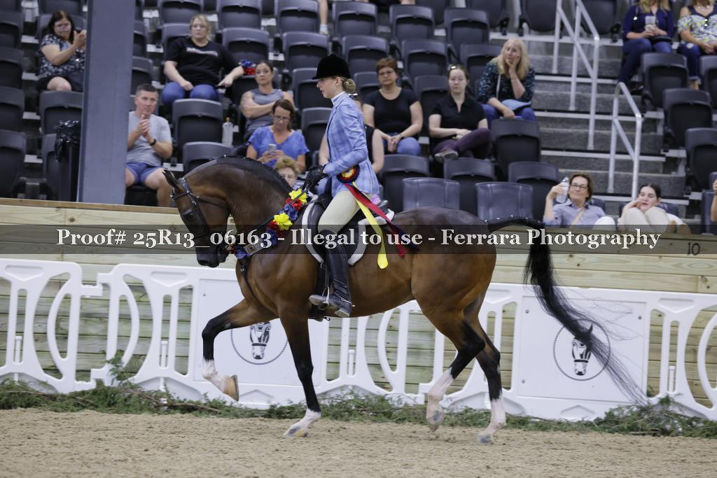 Proof 25R13_06163