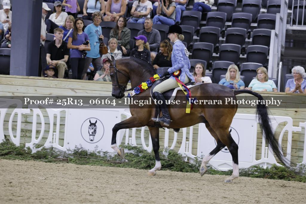 Proof 25R13_06164