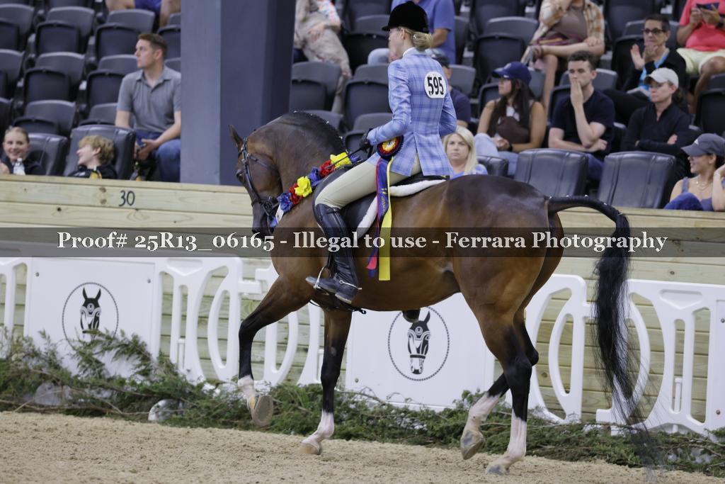 Proof 25R13_06165