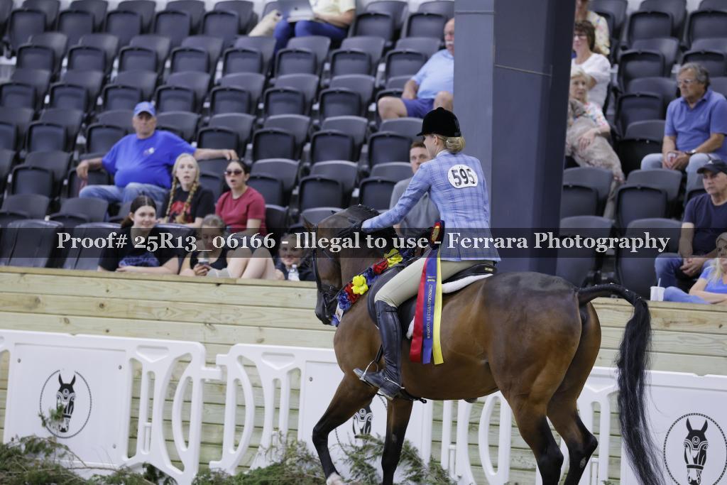 Proof 25R13_06166