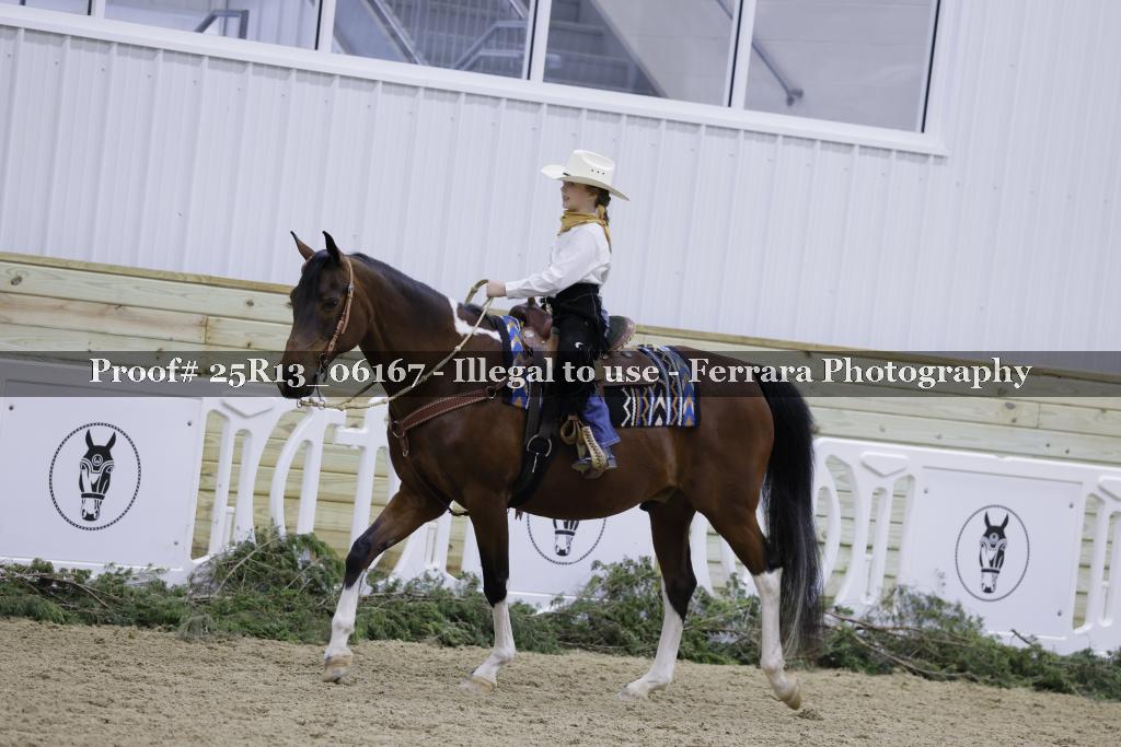 Proof 25R13_06167