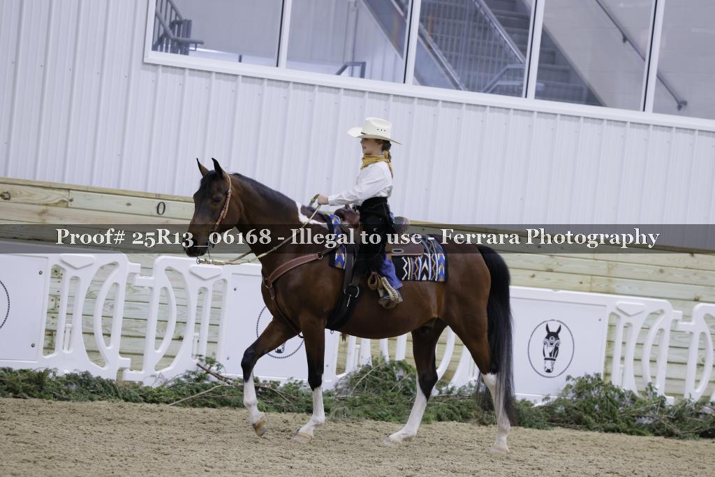 Proof 25R13_06168