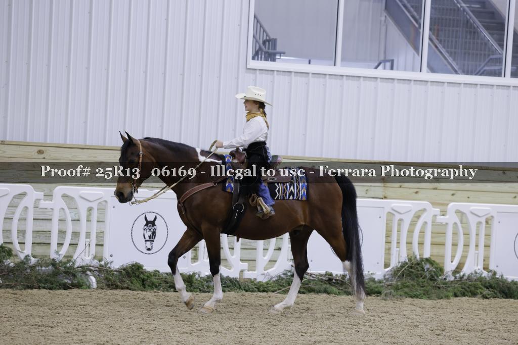 Proof 25R13_06169