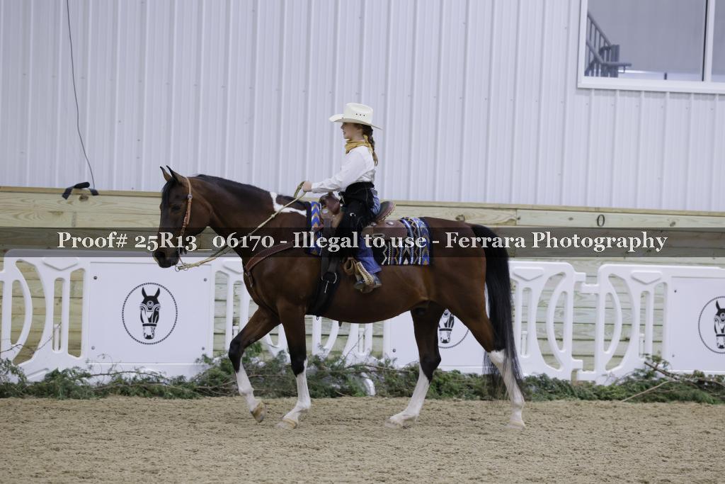 Proof 25R13_06170
