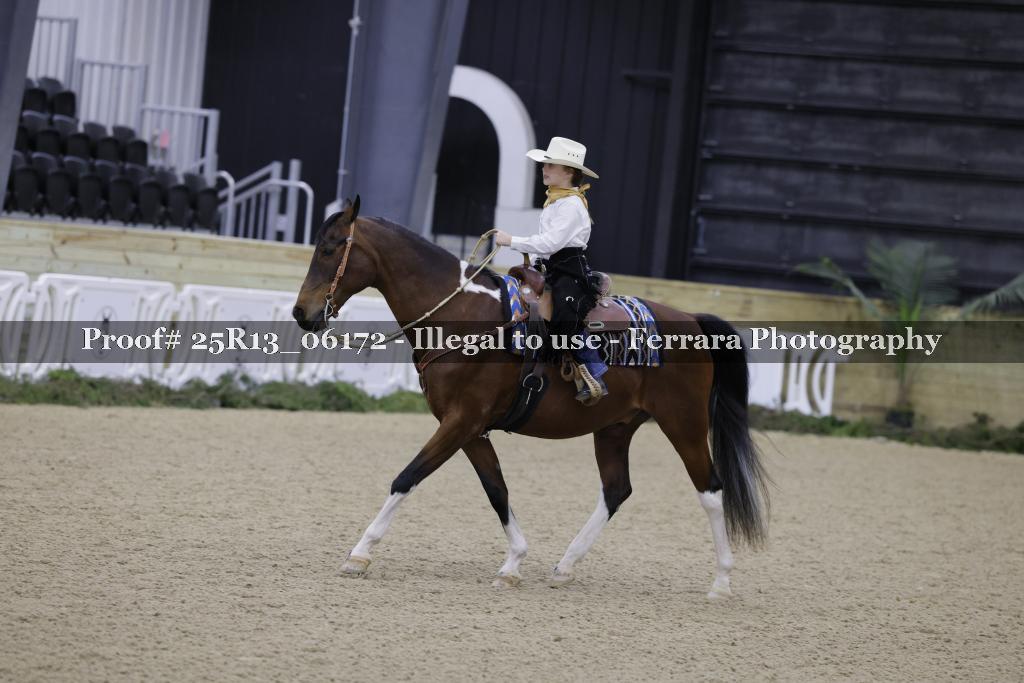 Proof 25R13_06172