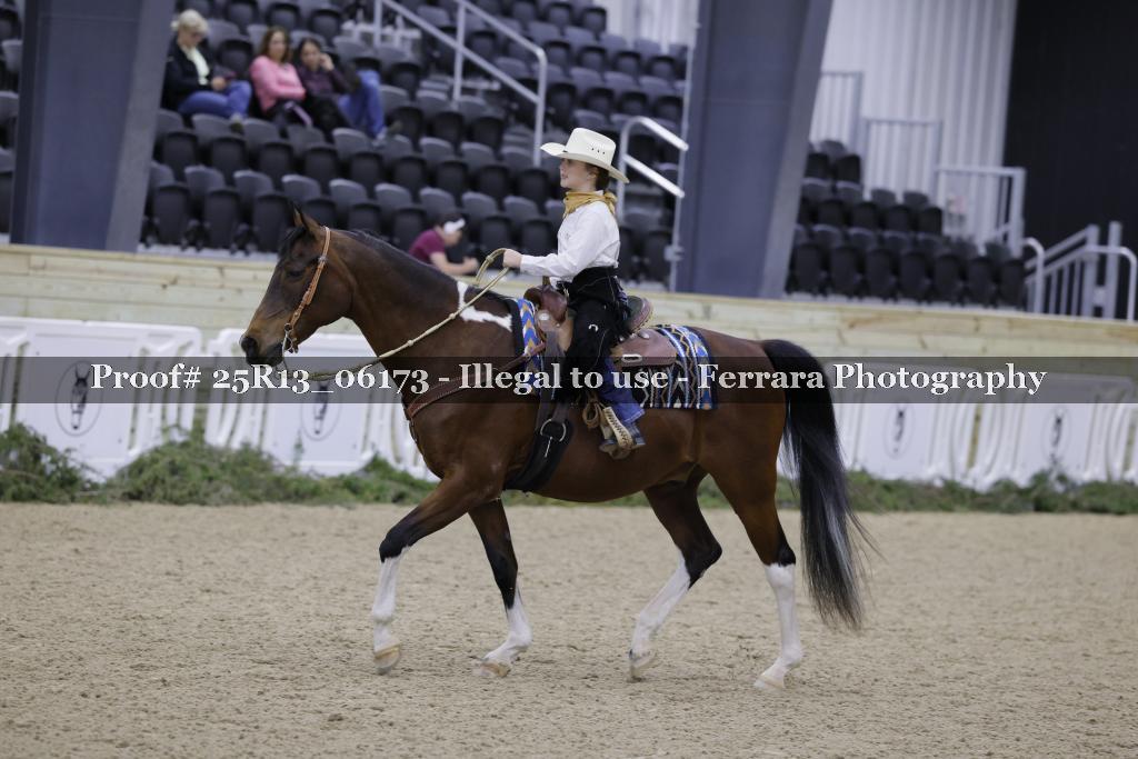 Proof 25R13_06173