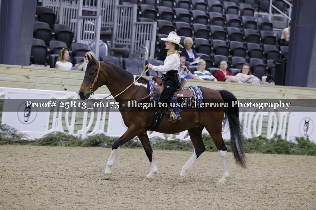 Proof 25R13_06175