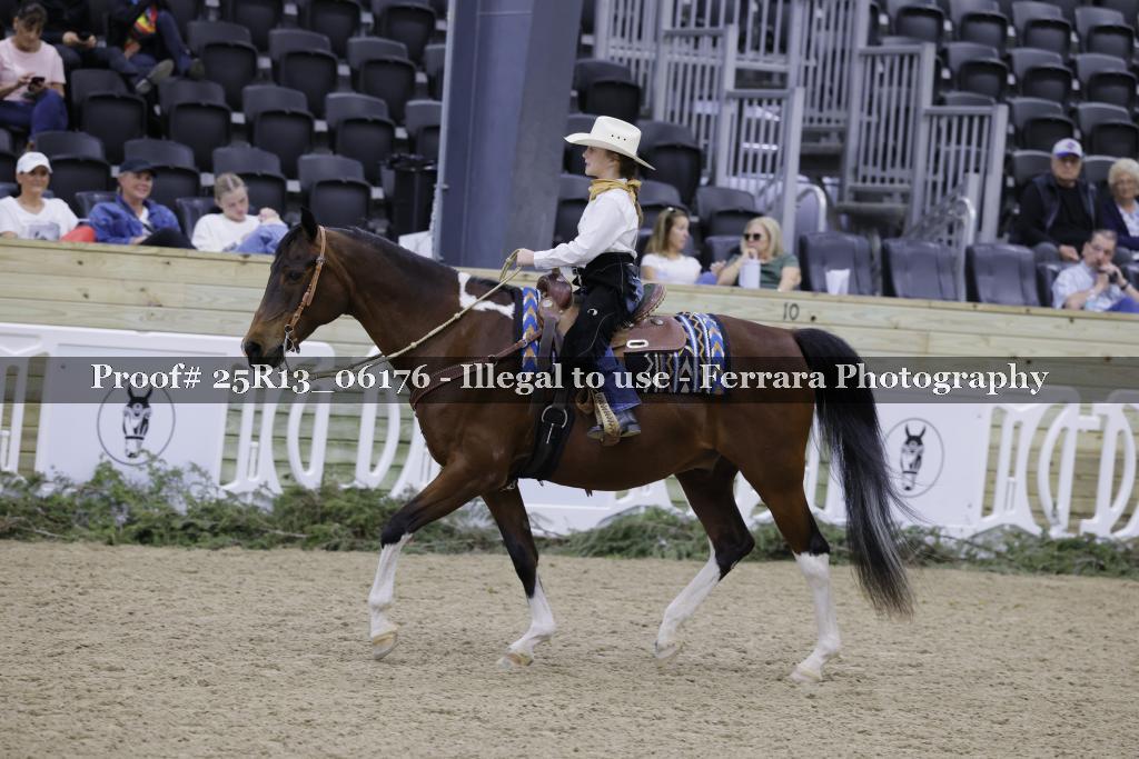Proof 25R13_06176