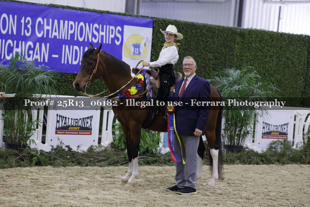 Proof 25R13_06182