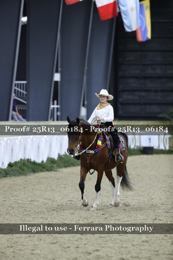 Proof 25R13_06184