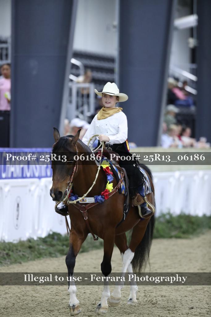 Proof 25R13_06186