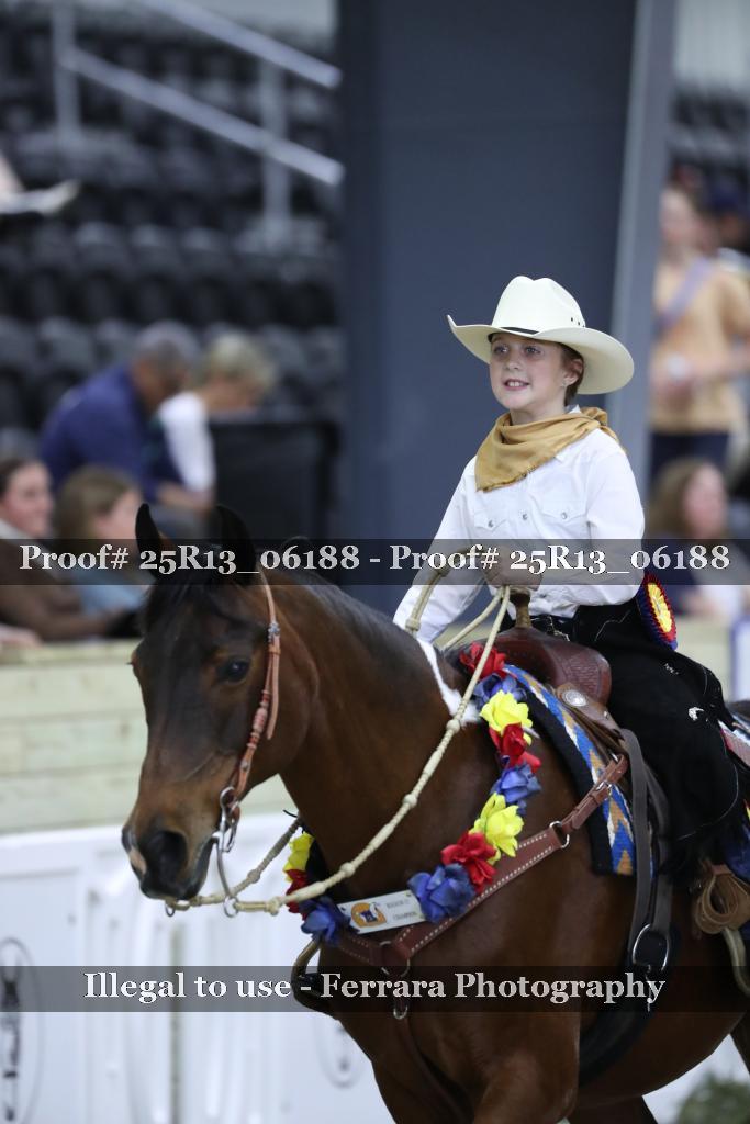 Proof 25R13_06188