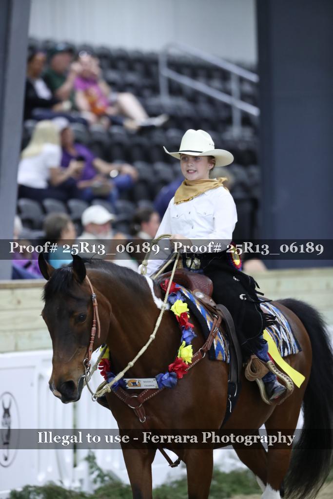 Proof 25R13_06189
