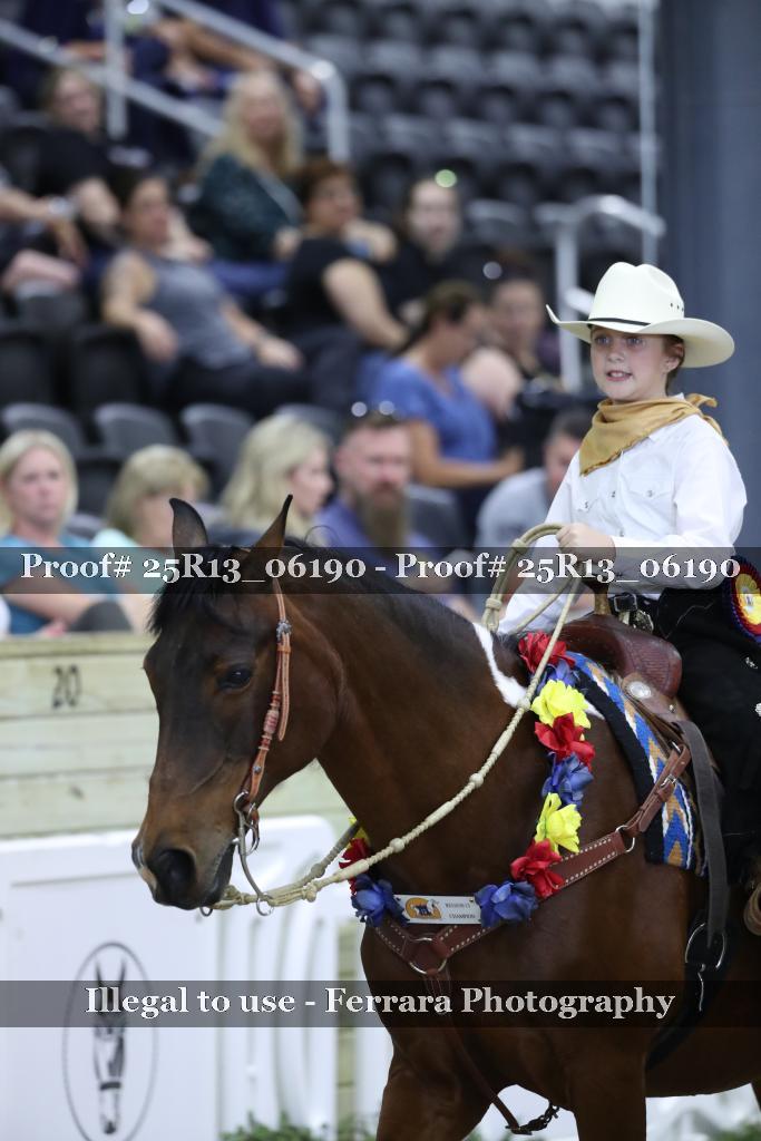 Proof 25R13_06190