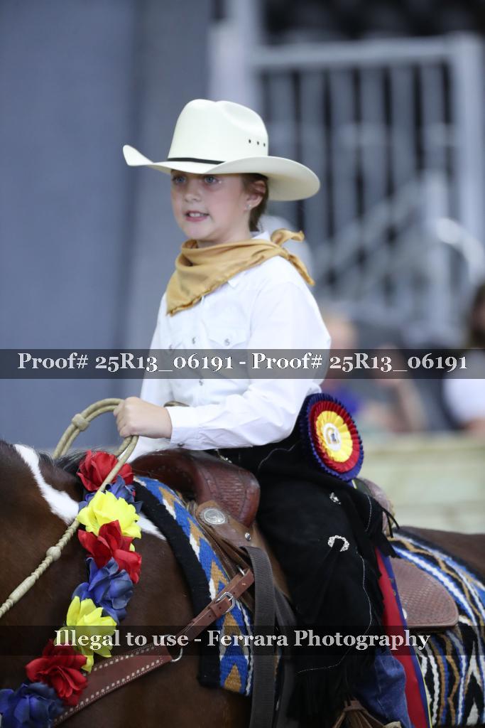 Proof 25R13_06191