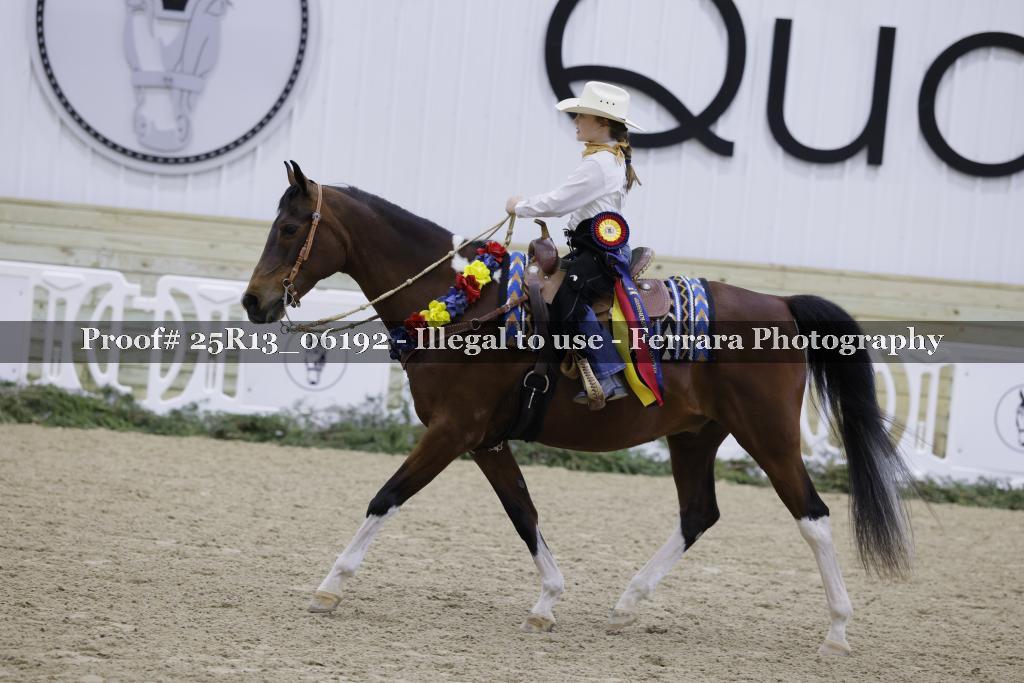 Proof 25R13_06192