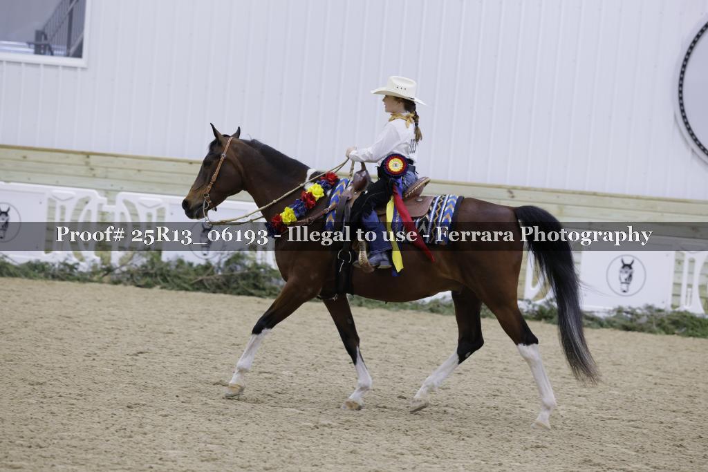 Proof 25R13_06193